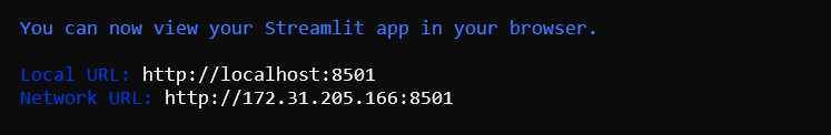 The Streamlit application launch message showing the local server address where the app can be viewed