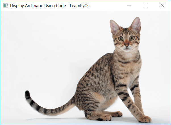 QMainWindow with Cat image displayed