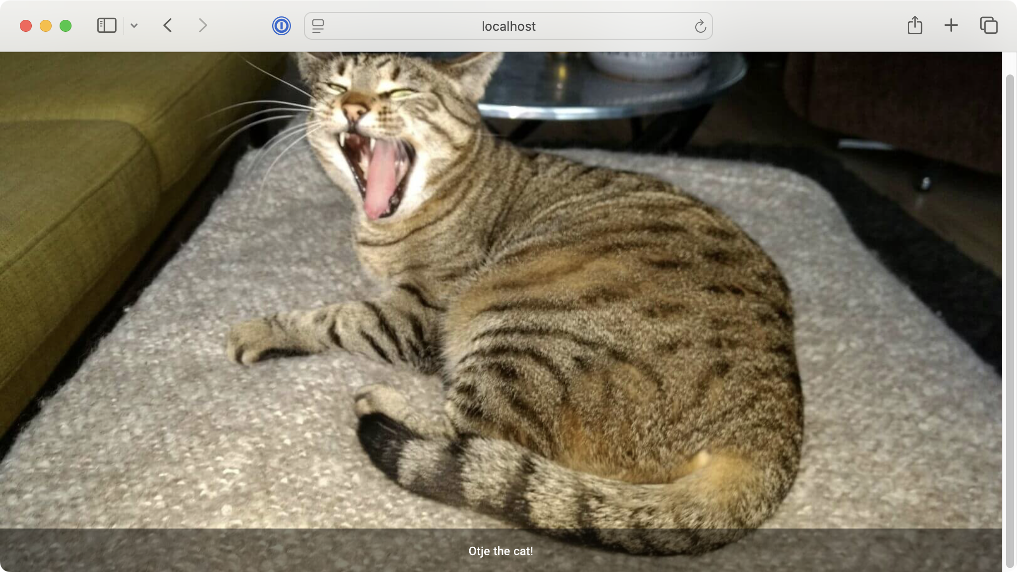 Audiovisual Elements Demo App in NiceGUI