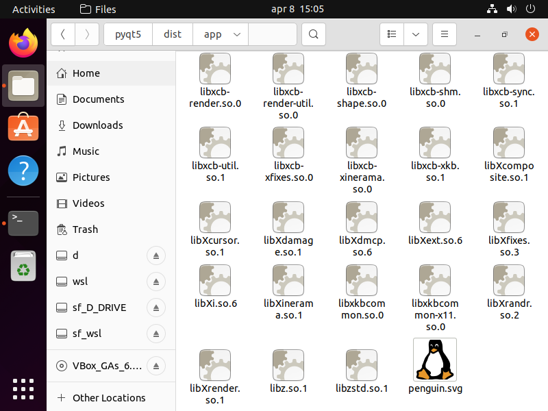 The icon file copied to the dist folder