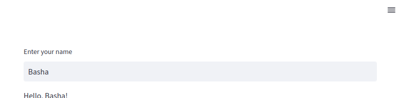 Streamlit text input widget
